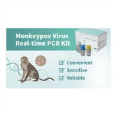 দ্রুত লালা মাঙ্কিপক্স অ্যান্টিজেন টেস্ট কিট পরীক্ষা
